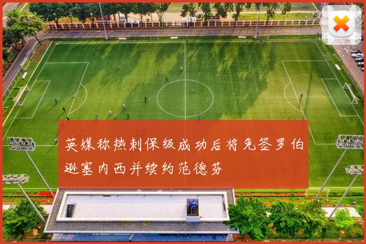 英媒称热刺保级成功后将免签罗伯逊塞内西并续约范德芬