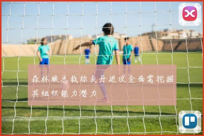 森林狼总裁称麦丹进攻全面需挖掘其组织能力潜力